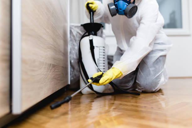 Pest Control for Restaurants in Westbrook, ME