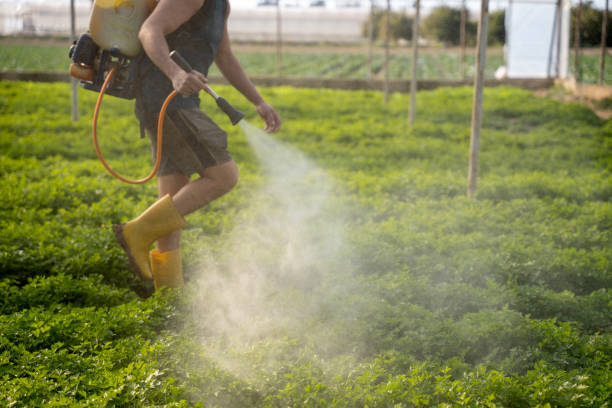 Best Best Pest Control Companies  in Westbrook, ME